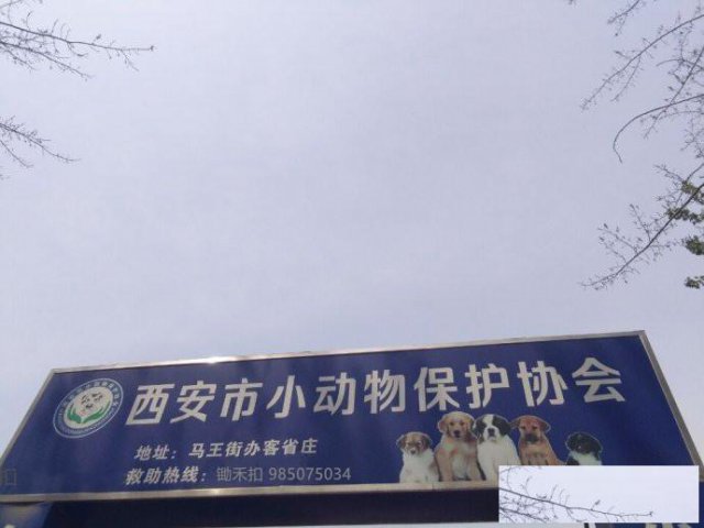 在网站提款遇到注单异常风控审核提不了款怎么办？