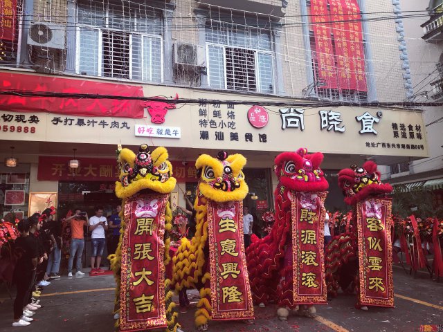 钦州专业舞狮队演出表演