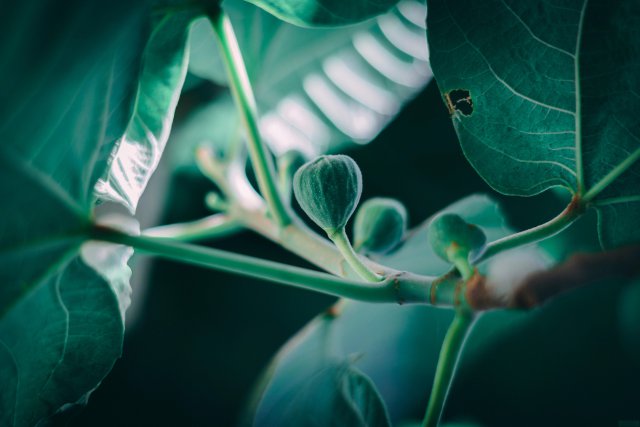 云南口碑好的音乐专业培训学校