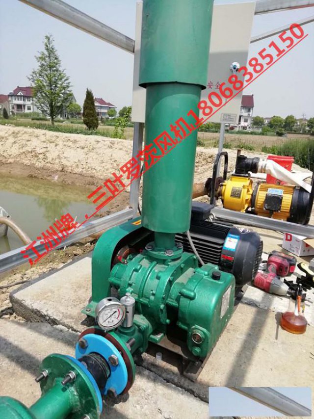 三叶罗茨风机水产养殖，工业输送风量，尾水处理通用