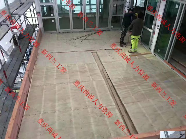 英国大型建筑项目招聘