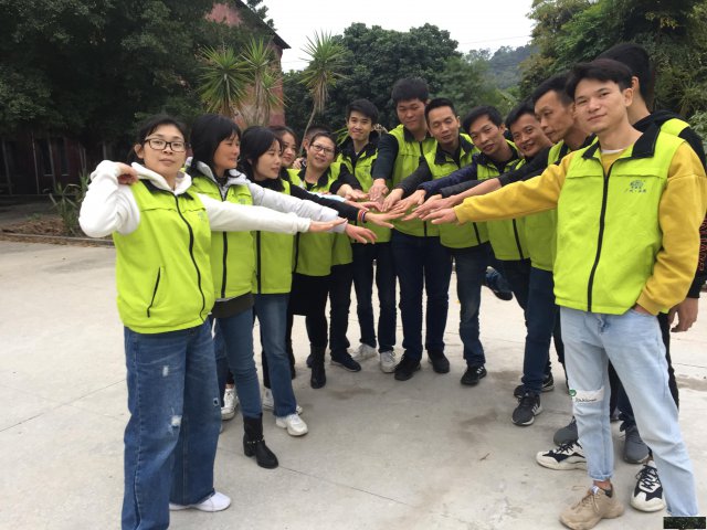 广州黄埔公司活动部门团建休闲聚会团建拓展的生态园