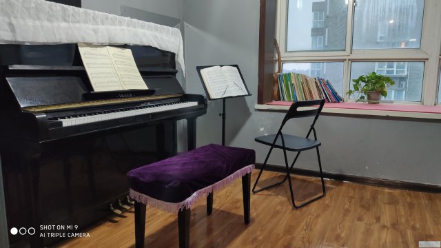 西安北郊凤五少儿成人乐器培训