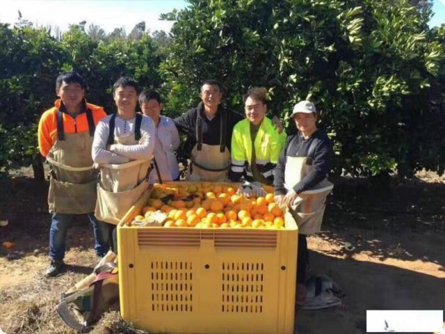 急招！包签，费用低。自己考察的项目！月薪平均3万