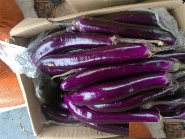 厦门食堂蔬菜配送中心服务上门