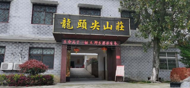 周末去哪里放松、来龙头尖吧