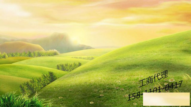 名称中有中国的公司转让带股东公司一起转让