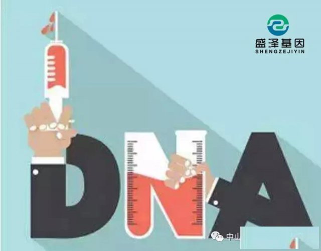 中山加急亲子鉴定多少钱