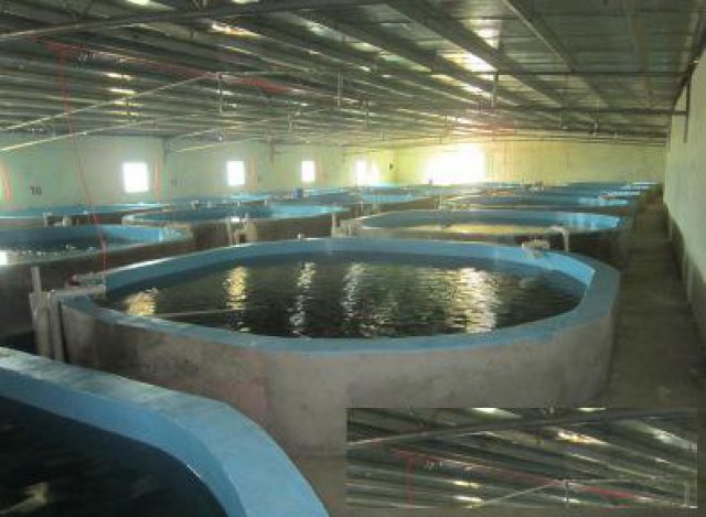 焦作专业空气能恒温养殖设备安装维保