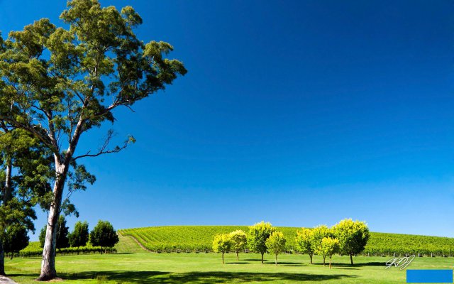 天津哪里有开票据#可以#