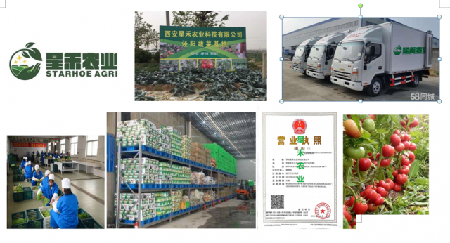 陕西医院职工食堂食材配送蔬菜批发配送