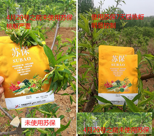 如何有效的实现粮食的增产增收