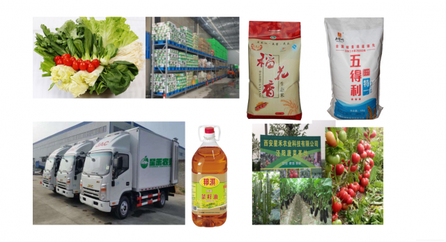 西安有蔬菜基地的配送服务有限公司