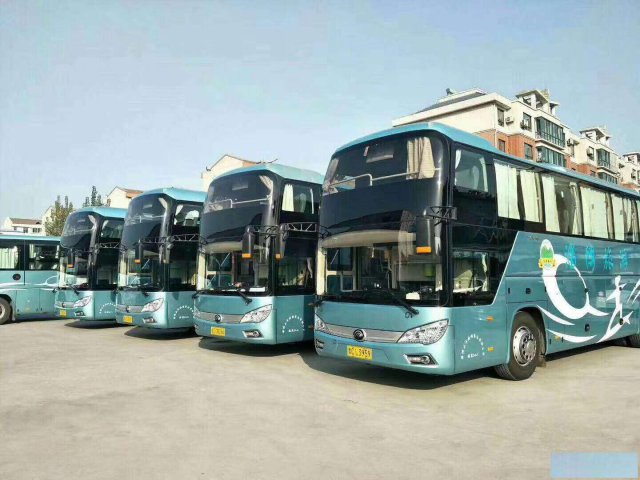 专业租车！正规省际手续、保险齐全！靠谱~