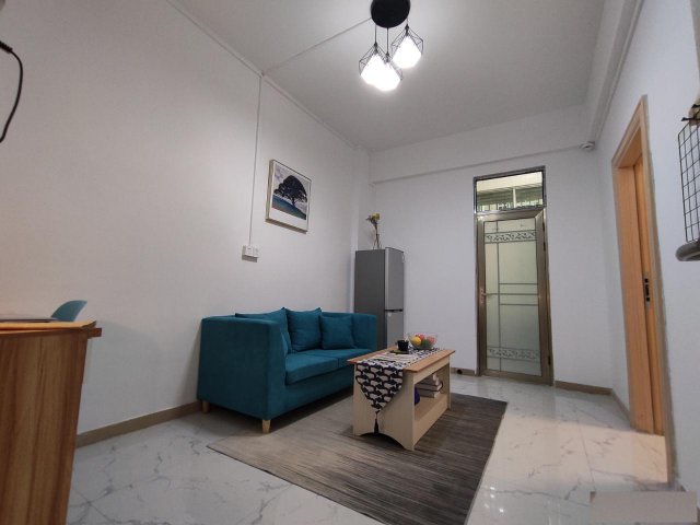 近清湖地铁玉翠新村精装公寓一房一厅户型好