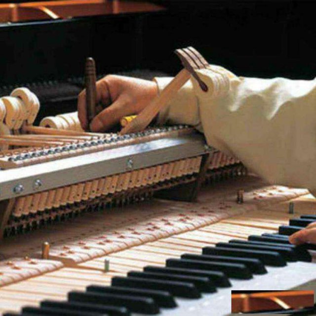 北京钢琴调律师/钢琴维修/钢琴调音/调音师