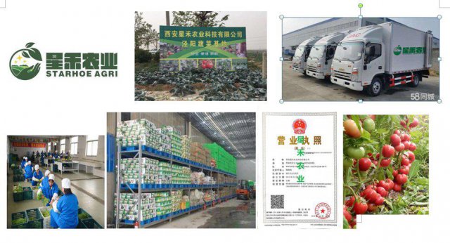 西安雁塔区蔬菜配送中心