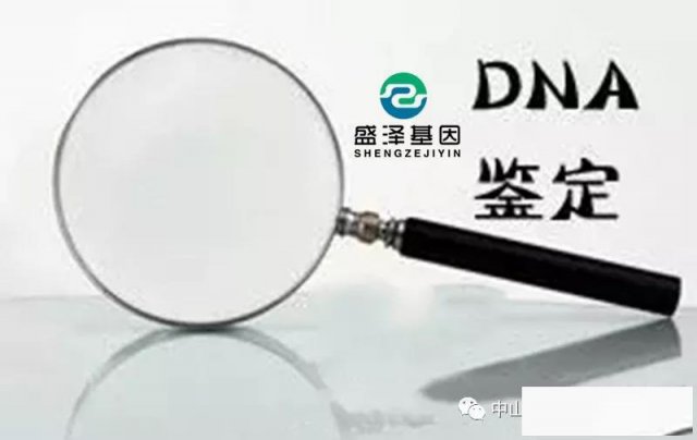 中山做升学亲子鉴定需要注意什么