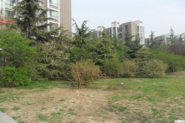 石家庄二手家具回收，石家庄上下床回收，公司单位上下床回收