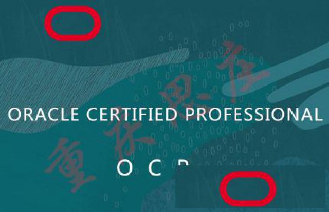 oracle技术支持服务