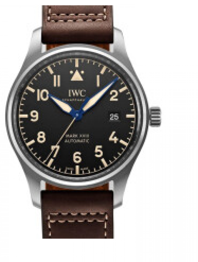 上海八佰伴万国IWC手表回收