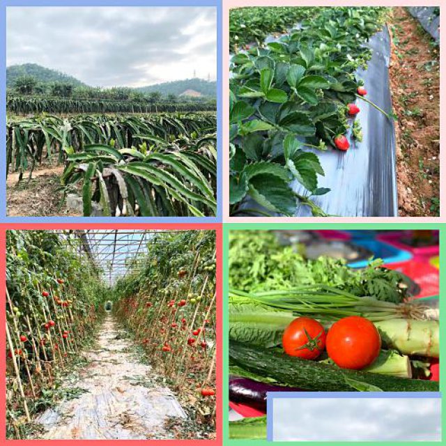 公司趣味活动户外拓展在深圳能去哪里