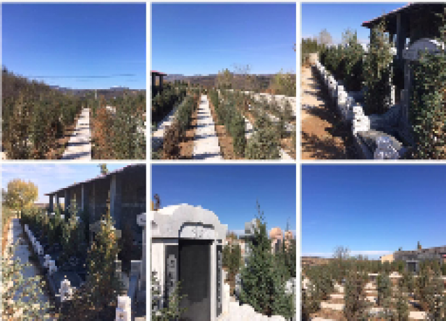 陵园项目寻求合作