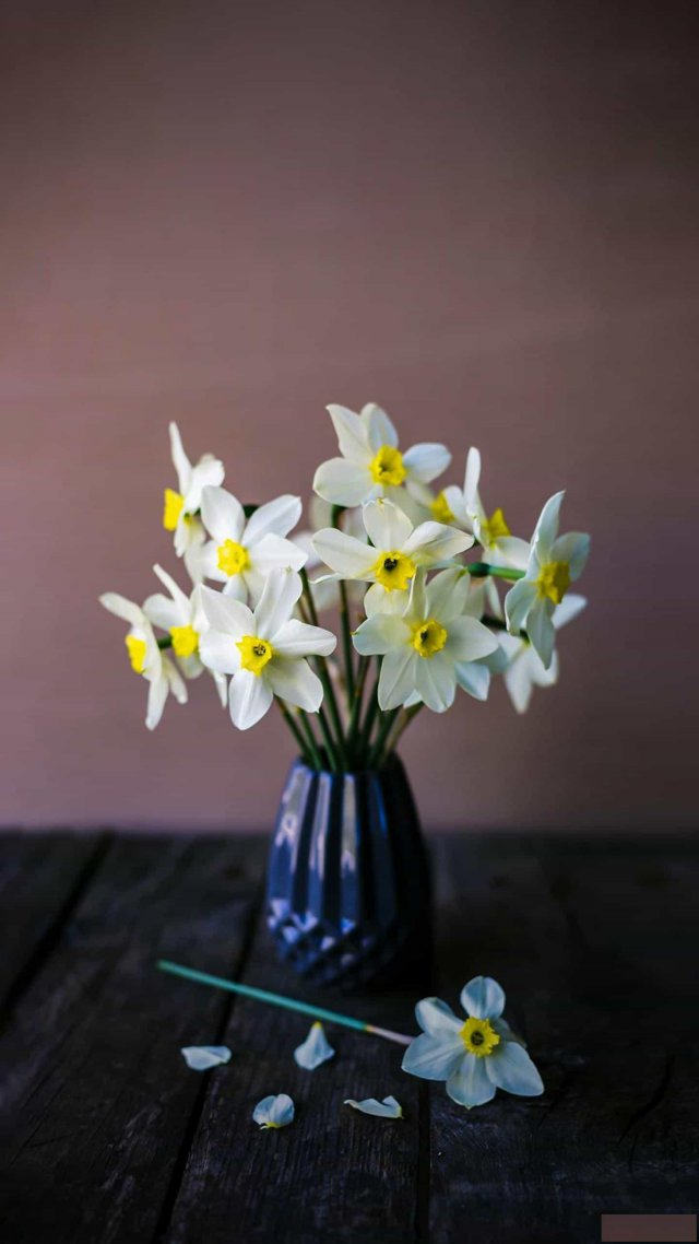 建筑行业资质有哪些，如何申请办理