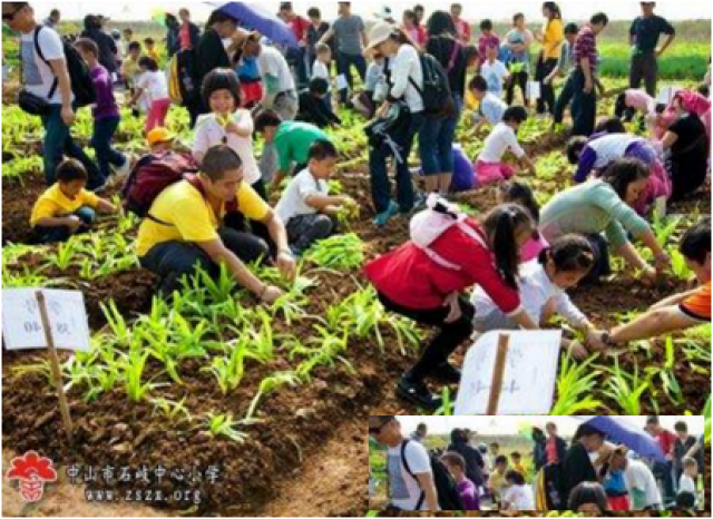 海珠晓港亲子游户外研学一日游的农家乐绿色基地