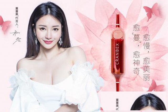 加拿大GBN集团简介