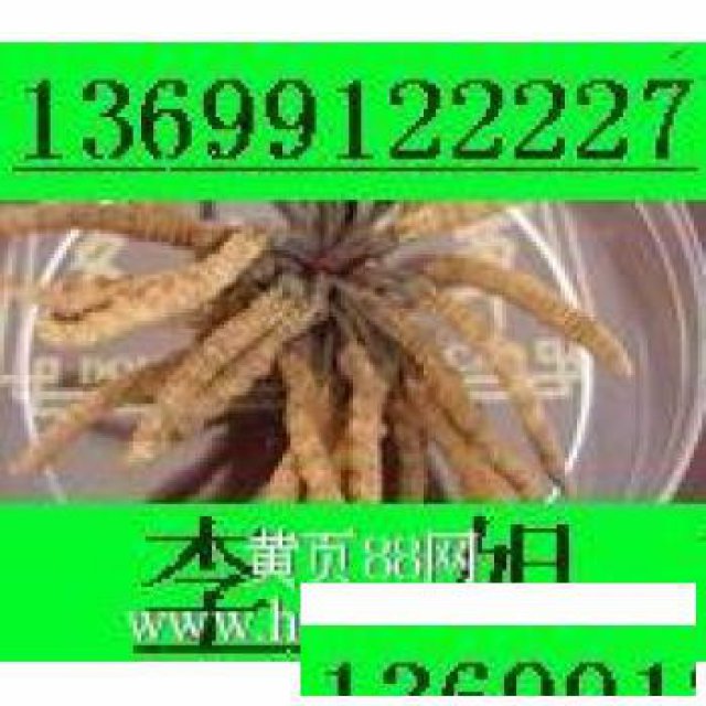 回收冬虫夏草东阿阿胶片仔癀安宫牛黄丸