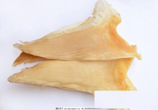 回收鱼翅高价收购鱼翅