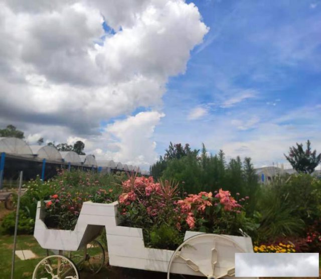 坪山农家乐有推荐的地方吗九龙生态园怎么样