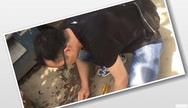 员工拓展千万别来武汉乐农湖畔一定会让你后悔