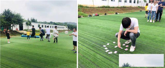 老练领队谈论到武汉公司出游何去何从不看就后悔了