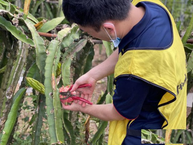 深圳坪山周边假期公司团建可以搞趣味比赛的农家乐