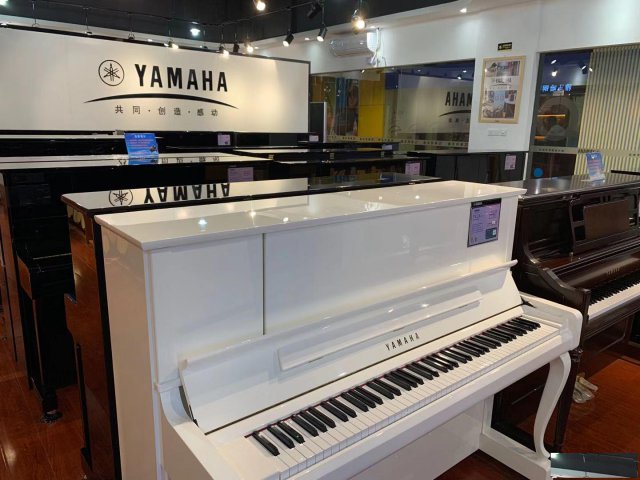 学古筝，专业老师教学培训；买古筝，十大知名品牌任选。