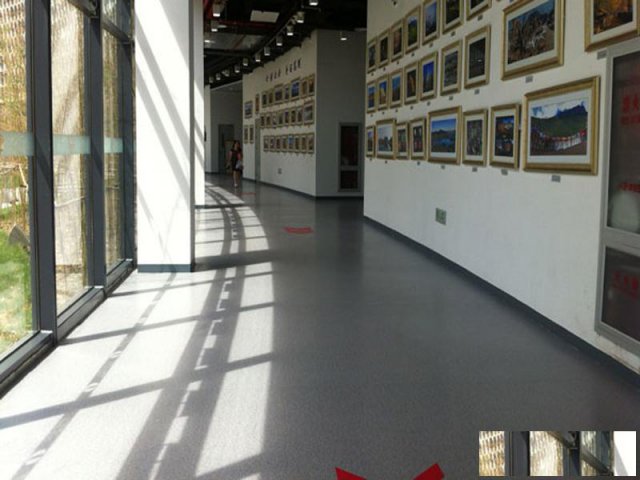 办公写字楼卡通PVC地板pvc塑胶地板厂家信誉保证