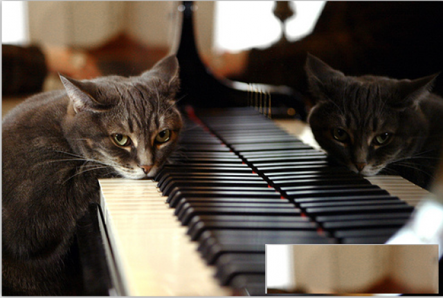 门头沟钢琴调音钢琴调律钢琴维修国家级调律师