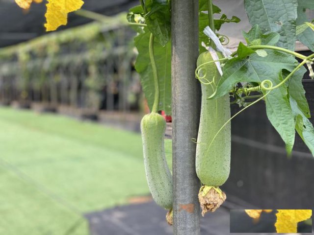 九月公司想组织团建深圳龙岗附近有专业的场地吗