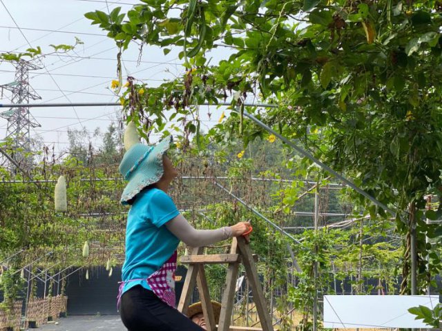 深圳坪山九龙生态园农家乐柴火烧饭木炭烧烤介绍