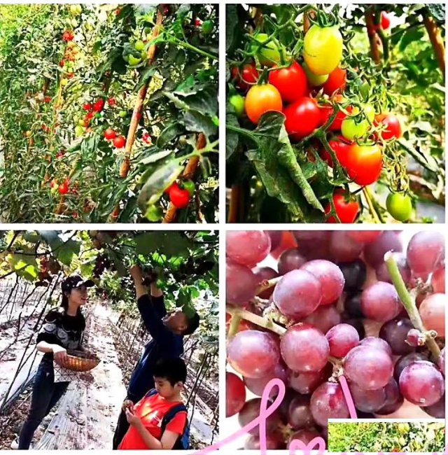 深圳公司户外拓展教练推荐去九龙农家乐