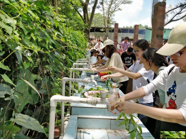 凤凰山农家乐田中园野炊烧烤秋游快乐之旅