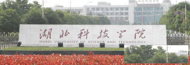 湖北科技学院口腔医学成人专升本开设哪些课程怎么学习
