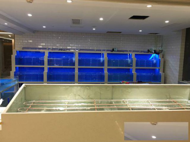 增城永和餐饮专业海鲜池定做公司海鲜池设计免费上门