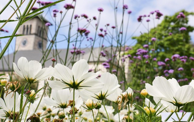 中国人民大学与加拿大女王大学金融硕士张夏：知明隽朗，且歌且行