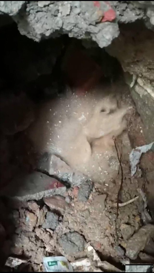 地下管道漏水检测、埋地供水管漏水检测