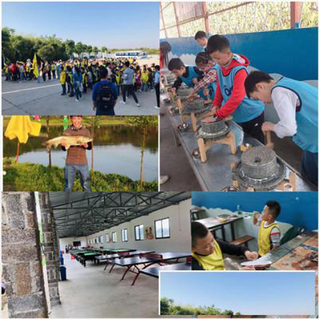 黄陂小学生出游轻松思考过程教育大家放心看好了