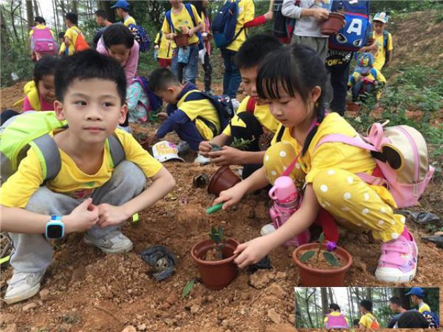 深圳亲子游好去处，深圳田中园拓展基地亲子游攻略