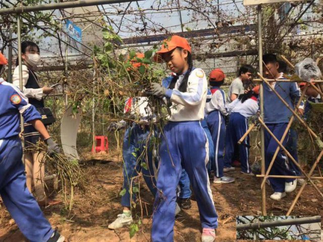 深圳适合学校秋游研学的生态园